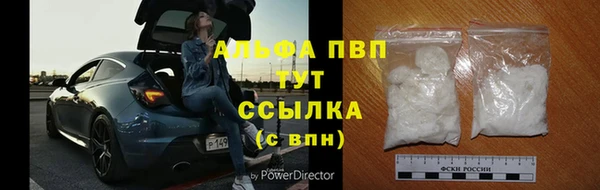 a pvp Алзамай