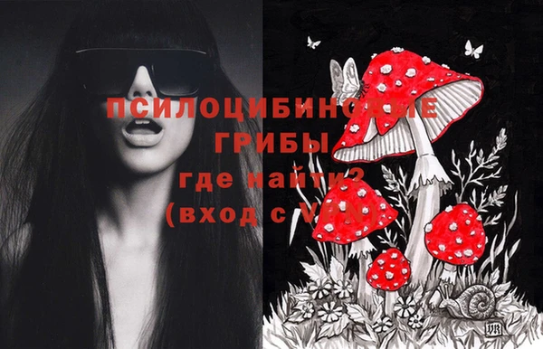 экстази Абаза