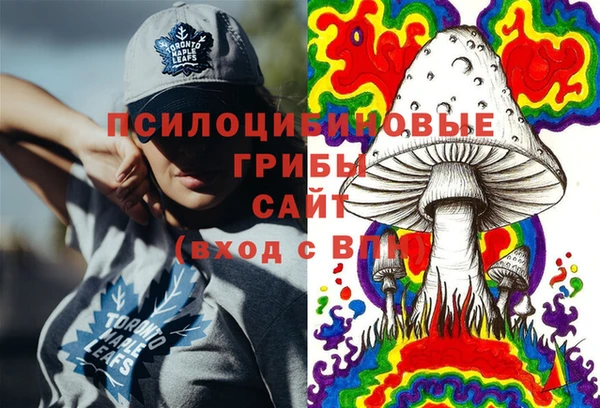 стаф Абдулино