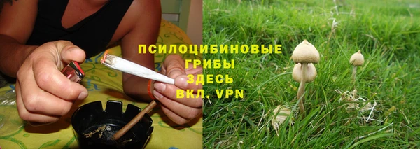 a pvp Алексин