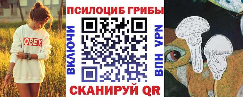 где можно купить   Алзамай  Псилоцибиновые грибы мухоморы 